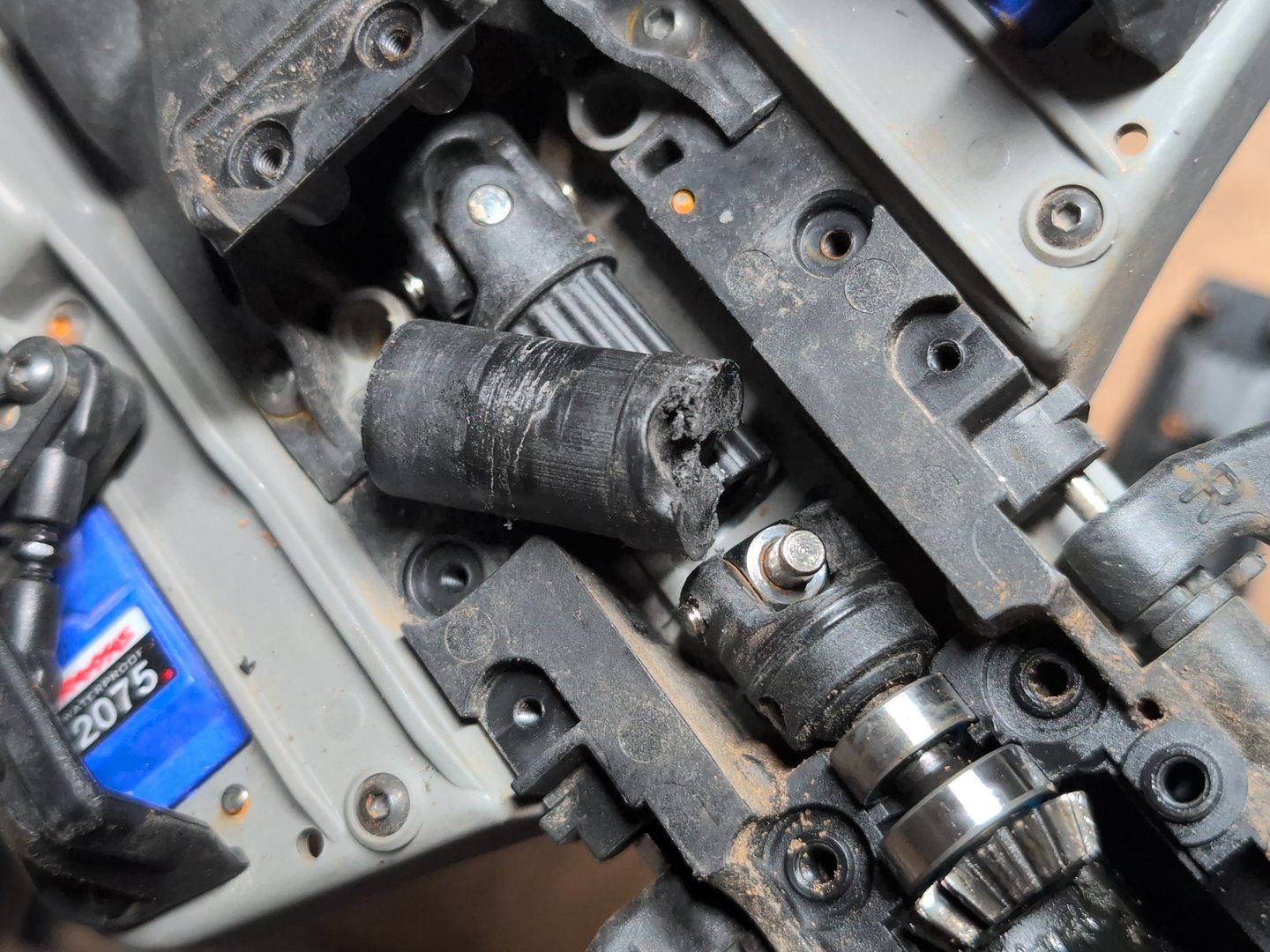 Photo 1000001848.jpg